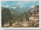 bnk cp Sinaia - Castelul Peles - Vedere spre Valea Peles - circulata - marca fixa