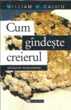 Cum Gandeste Creierul William H Calvin Editura Humanitas Psihologie Cultura Generala Dezvoltare Personala Cartea Anului 1998