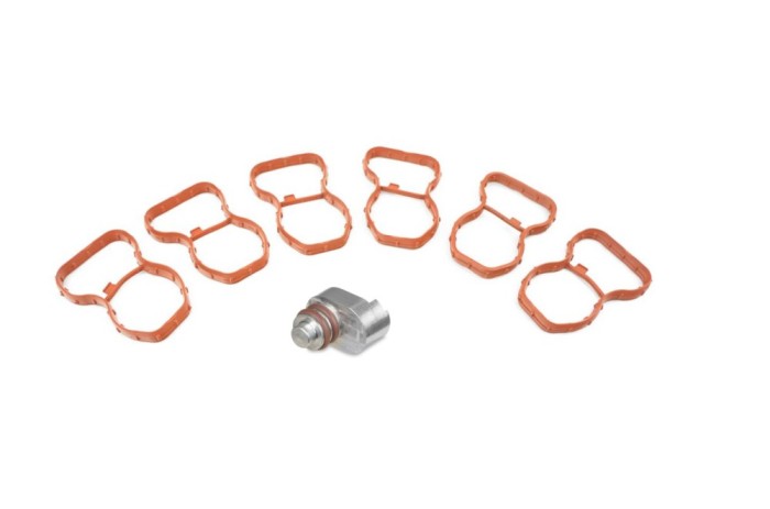 Kit anulare clapete admisie pentru BMW N57N