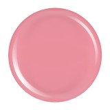 Cumpara ieftin Gel Colorat UV PigmentPro LUXORISE - Tea Rose, 5ml