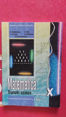 MATEMATICA CLASA A X A TRUNCHI COMUN NASTASESCU NITA CHITESCU MIHALCA foto