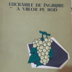 LUCRARILE DE INGRIJIRE A VIILOR PE ROD