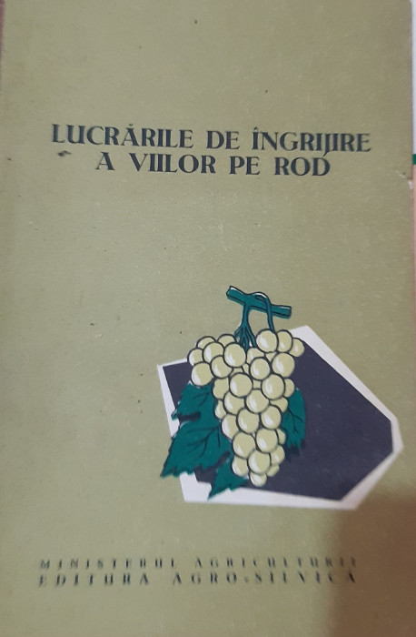 LUCRARILE DE INGRIJIRE A VIILOR PE ROD