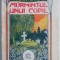 Mormantul unui copil &ndash; M. Sadoveanu (putin uzata)