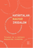 Hat&aacute;rtalan magyar irodalom II. - Trianon &eacute;s a k&uuml;lhoni magyars&aacute;g irodalma - J&aacute;nosi Zolt&aacute;n