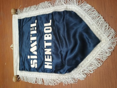 FANION MATASE ,SIMTEL ,SUPERB foto