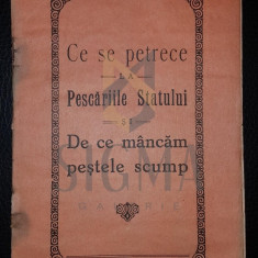 N. CHETOIANU (INGINER), CE SE PETRECE LA PESCARIILE STATULUI SI DE CE MANCAM PESTELE SCUMP, CRAIOVA, 1928