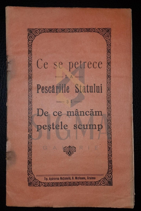 N. CHETOIANU (INGINER), CE SE PETRECE LA PESCARIILE STATULUI SI DE CE MANCAM PESTELE SCUMP, CRAIOVA, 1928