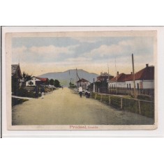 Carte postala necirculata din jurul anului 1910 Predeal