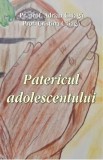 Patericul adolescentului - Adrian Chiaga, Cristina Chiaga