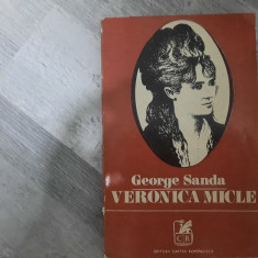 Veronica Micle de George Sanda