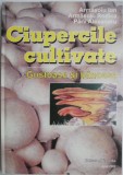 Ciupercile Cultivate. Gustoase si Banoase &ndash; Armasoiu Ion. Carte