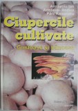 Ciupercile cultivate. Gustoase si banoase &ndash; Armasoiu Ion