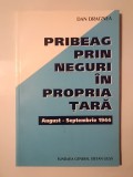 Dan Dragnea - Pribeag prin neguri &icirc;n propria țară: august - septembrie 1944