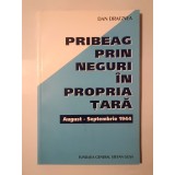 Dan Dragnea - Pribeag prin neguri &icirc;n propria țară: august - septembrie 1944