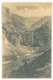 2106 - BUCEGI, Mountain, Romania - old postcard - used - 1917, Circulata, Printata