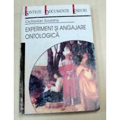 EXPERIMENT SI ANGAJARE ONTOLOGICA-OCTAVIAN SOVIANY 2002