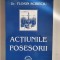 Florin Scrieciu - Actiunile posesorii