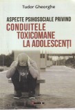 Tudor Gheorghe - Aspecte psihosociale privind conduitele toxicomane la