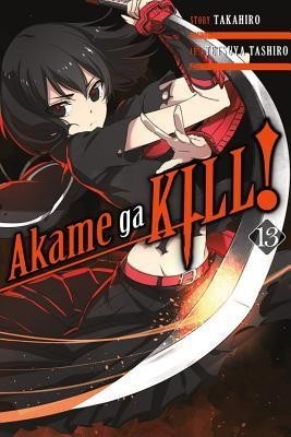 Akame Ga Kill!, Vol. 13 foto