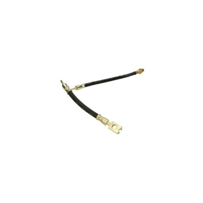 Furtun frana BMW X5 E53 ABE C80219ABE foto