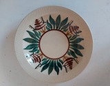 Farfurie Ad&acirc;ncă Ceramică Faimar Baia Mare &ndash; Pictată Manual, Anii '80, Model Vegetal, Decor Perete, Vintage Rom&acirc;nia, Diametru 22 cm, Marcaj Original