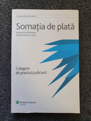 SOMATIA DE PLATA - Pietreanu, Gavris foto