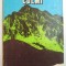 POPASURI PE CULMI de ION IONESCU DUNAREANU , 1979