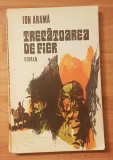 Trecatoarea de fier de Ion Arama