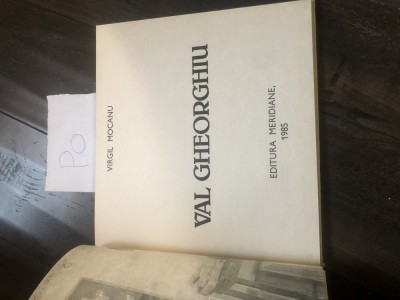 Virgil Mocanu Val Gheorghe Po foto