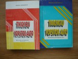 TINICHIGIU VOPSITOR AUTO - MANUAL PENTRU SCOLI PROFESIONALE - 2 volume - 1995