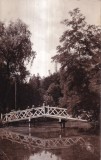 Baile Felix. Vedere Din Parc (circulata 1930)