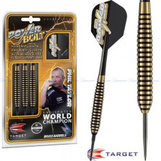 Set sageti TARGET steel POWER BRASS 24g foto