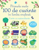 Primele mele 100 de cuvinte &icirc;n limba engleză. Carte cu autocolante