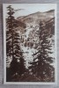 QW23 B - Carte postala - tematica turism - vedere - Romania - Borsec 28, Necirculata, Fotografie
