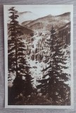 QW23 B - Carte postala - tematica turism - vedere - Romania - Borsec 28, Necirculata, Fotografie