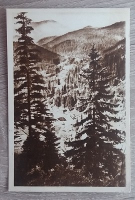 QW23 B - Carte postala - tematica turism - vedere - Romania - Borsec 28 foto
