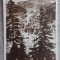 QW23 B - Carte postala - tematica turism - vedere - Romania - Borsec 28