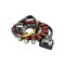 Stator alternator Ducati&nbsp;Panigale 1199 R S bobina A1570