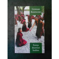 GONSAR RINPOCHE - ESENTA DOCTRINEI BUDISTE