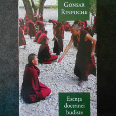 GONSAR RINPOCHE - ESENTA DOCTRINEI BUDISTE