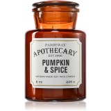 Paddywax Apothecary Pumpkin Spice lum&acirc;nare parfumată 226 g