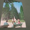 CP OLANESTI VEDERE DIN PARC CIRCULATA, Printata