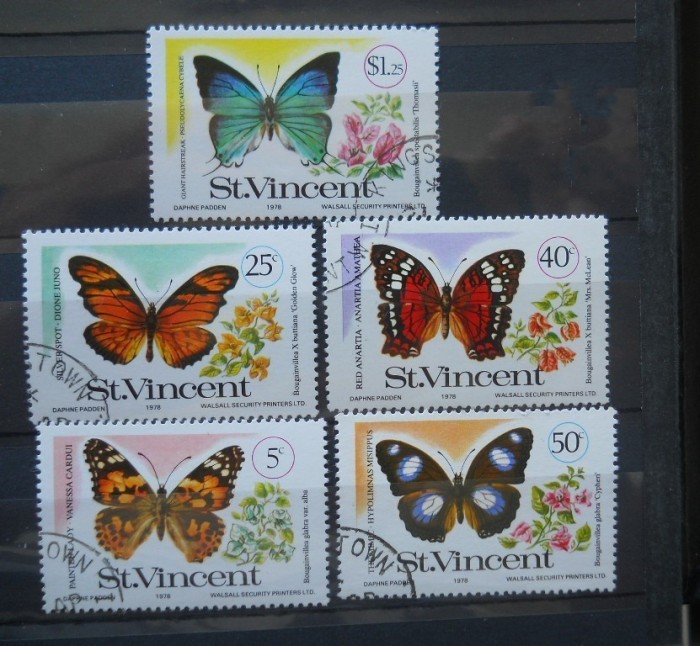 SERIE ST VINCENT FLUTURI