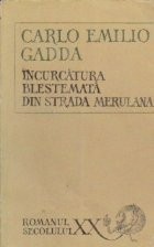 Incurcatura blestemata din strada Merulana foto