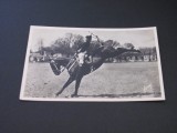 Scoala de Cavalerie Saumur &bdquo;Croupade&rdquo;, Dresațiuni Ecvestre - Carte Poștală Vintage Franța (posibil perioada 1900-1950)
