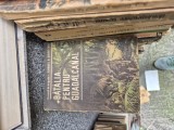 Bătălia pentru Guadalcanal vintage