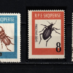 Timbre Albania, 1963 | Gândaci - Insecte | Serie completă - parţial MNH | aph