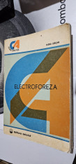 ELECTROFOREZA - ELENA JERCAN foto