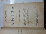 Cumpara ieftin Amina - Salvator Gotta